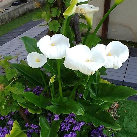 Great Family House, 80 M To The Sea, In Normandie Villa Hermanville-sur-Mer Екстериор снимка