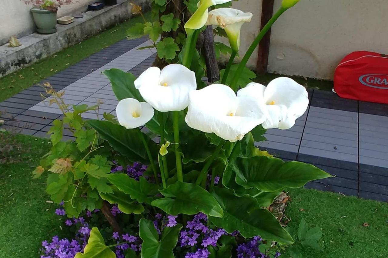 Great Family House, 80 M To The Sea, In Normandie Villa Hermanville-sur-Mer Екстериор снимка